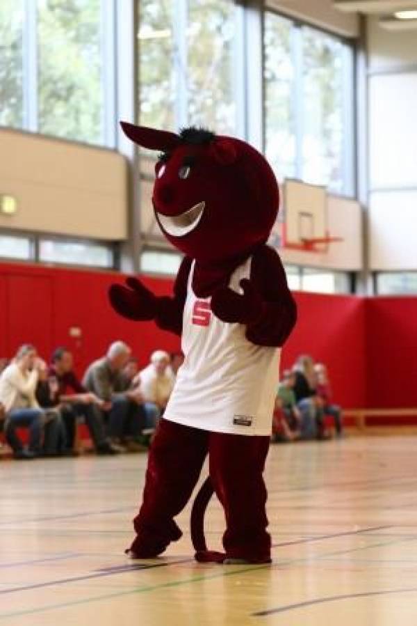 Luzi vom BBC Cottbus